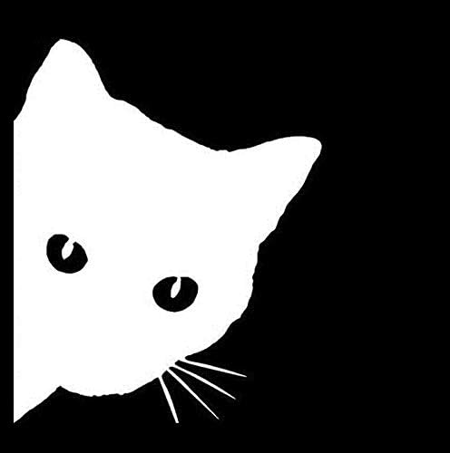 חתול מציץ Makarios LLC | מכוניות משאיות טנדרים קירות מחשב נייד MKR | לבן | 5.5 x 4.5 | MKR430